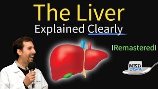 Liver Explained Function Pathology Diseases amp Cirrhosis [upl. by Ky]