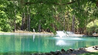 Top 11 Best Tourist Attractions in Ocala Travel Florida [upl. by Maudie]