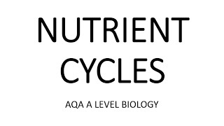 NUTRIENT CYCLES  AQA A LEVEL BIOLOGY  EXAM QUESTIONS RUN THROUGH [upl. by Alisha]