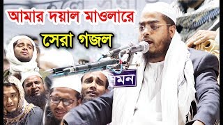 আমার দয়াল মাওলারে হাফিজুর রহমান সিদ্দিকীর সেরা গজল। Hafizur Rahman Siddiki New Gojol 2019 [upl. by Akahs]