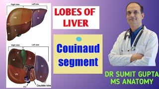 LOBES OF LIVER amp Couinaud segment [upl. by Hoagland]