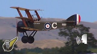 WW1 Dogfight  Triplane Pfalz DIII and Nieuport 11 [upl. by Mckay]