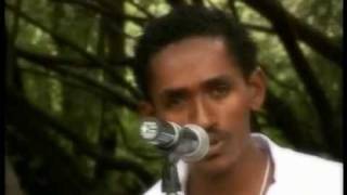 Oromo Music Hacaaluu Hundessa [upl. by Acnaiv475]