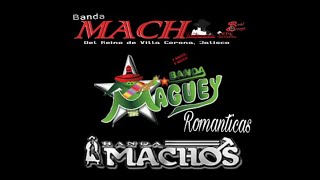 Banda Machos vs Banda Maguey Mix Romanticas [upl. by Edme]