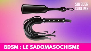 91  BDSM  Le sadomasochisme [upl. by Averat]