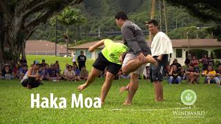 WCC Makahiki 2019 [upl. by Odraleba]