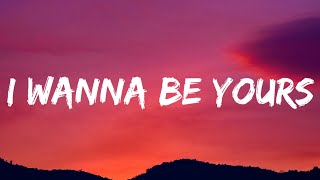 Arctic Monkeys  I Wanna Be Yours Lyrics [upl. by Namus]