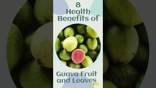 8 health benefits of guava fruit and leaves  Health benefits of guava fruit [upl. by Flowers608]