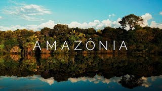 AMAZÔNIA  Viagem pela Floresta Amazônica Brasil  4K Ultra HD [upl. by Mullane]