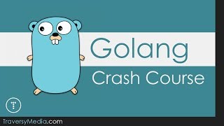 Go  Golang Crash Course [upl. by Mikihisa]