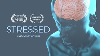 Stressed  A Documentary Film  4K OFFICIAL [upl. by Llyrrad39]