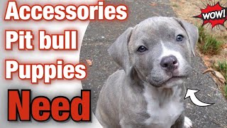 Accessories Pit bull Puppies NEED 18 Must haves [upl. by Pogue]