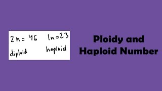 Ploidy and Haploid Number [upl. by Edi]