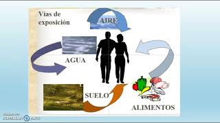 Toxicología Ambiental [upl. by Ycnay]