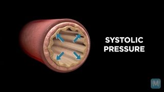 Systole vs Diastole  Match Health [upl. by Seline875]