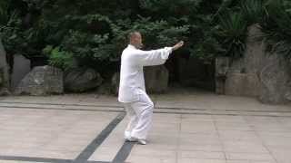 Chen Style Tai Chi 13 Form [upl. by Sydel]