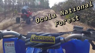 Ocala National Forest ATV Trails [upl. by Saile]