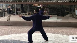 Chen Style Tai Chi 74 Forms [upl. by Barabbas]