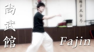 Chen Taichi Fajin basics explained [upl. by Enobe]