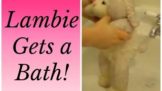 Lamb Cam 2 Lambies Bath  How to Wash your Build a Bear LambCam [upl. by Lavud]