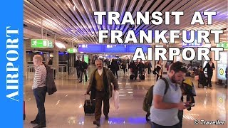 TRANSIT WALK AT FRANKFURT Airport FRA Terminal 1  Connection Flight Transfer Arriving amp Departing [upl. by Enaerb239]