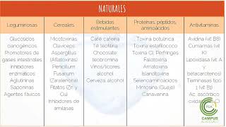 Toxicología Alimentaria Parte 1 [upl. by Kwabena]