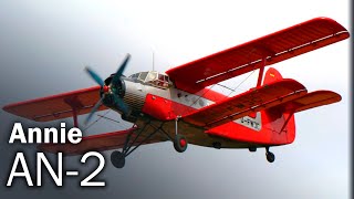 An2  The history of the eternal biplane [upl. by Wolenik439]